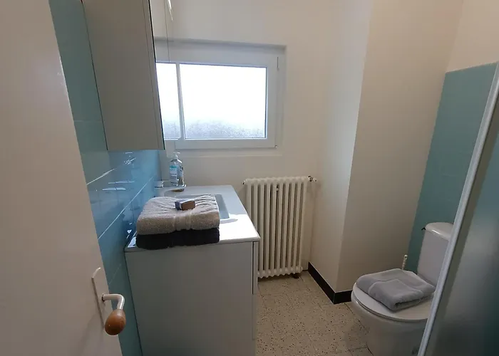 Grand Appartement, 2 Et Jardin Appartement Nîmes