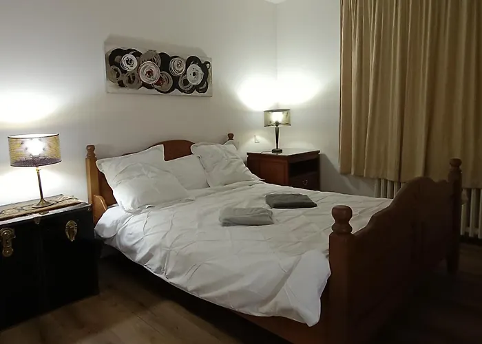 公寓 Grand Appartement, 2 Et Jardin